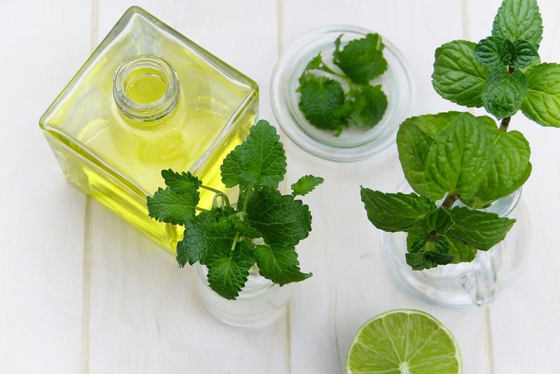 Holistic Medicine